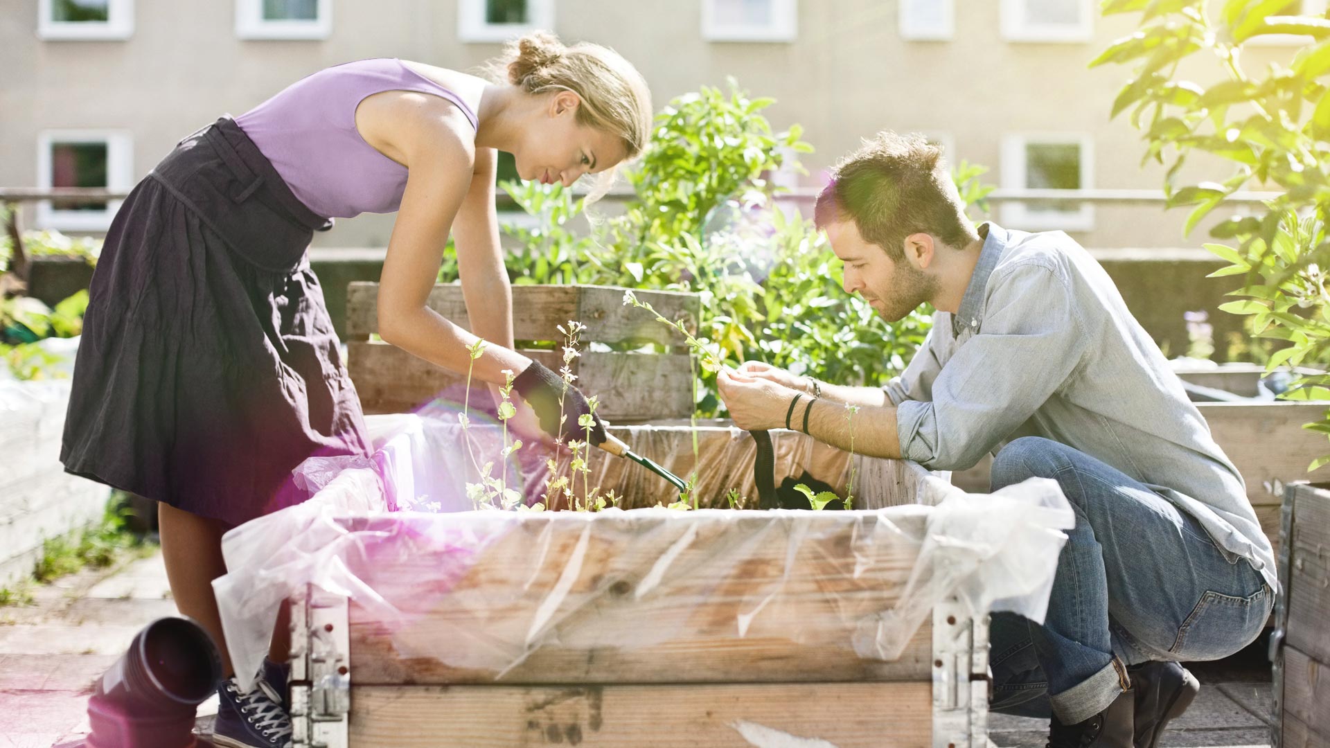 Urbane Gärten in der Nachbarschaft