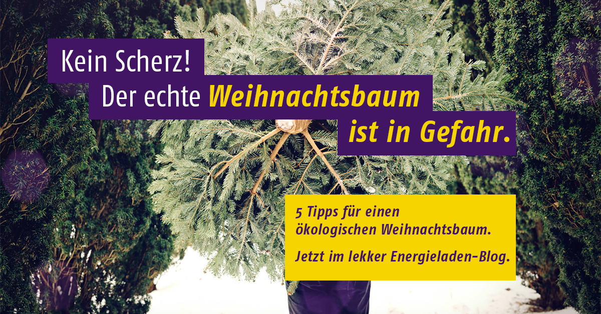 Weihnachtsbaum_FacebookTeaser Energieladen