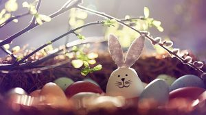lekker energieladen Artikel Hasenei Header 1920x1080 - Frühlings- und Osterdeko aus der lekker Ideenwerkstatt