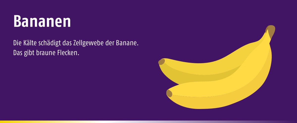 lekker Blog Slider Kuehlschrank Banane - Welche Lebensmittel gehören nicht in den Kühlschrank?