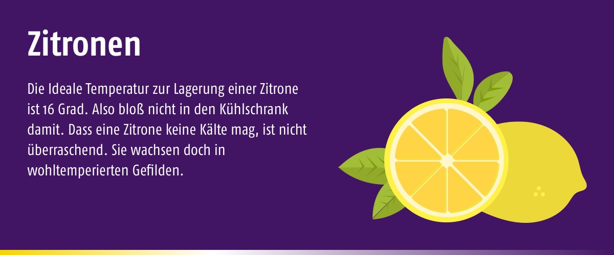 lekker Blog Slider Kuehlschrank Zitrone - Welche Lebensmittel gehören nicht in den Kühlschrank?